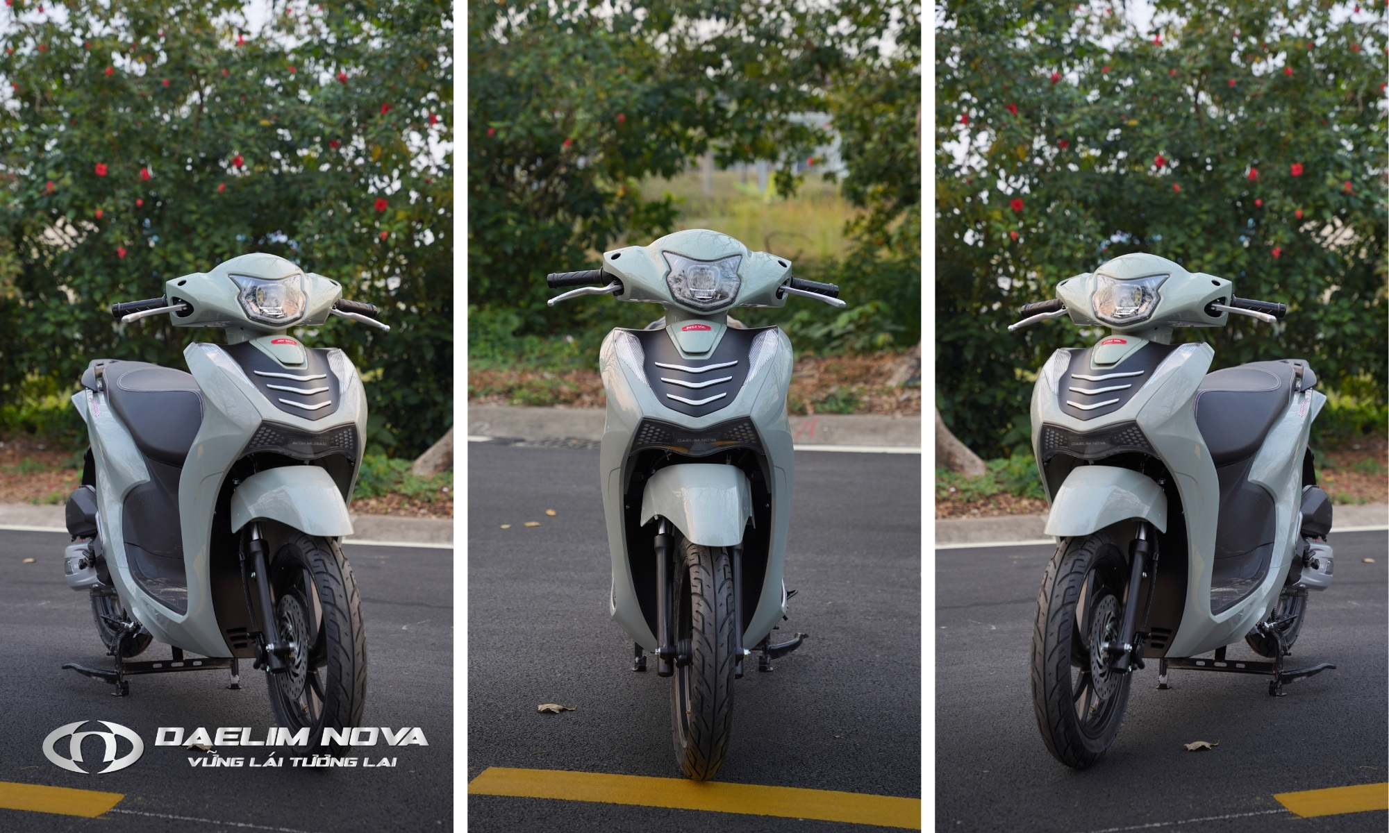 DAELIM NOVA VIORA 50CC - TƯ VẤN NHẬP XE ĐIỆN CHO ĐẠI LÝ 2026